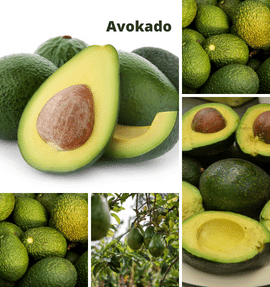 Avokado